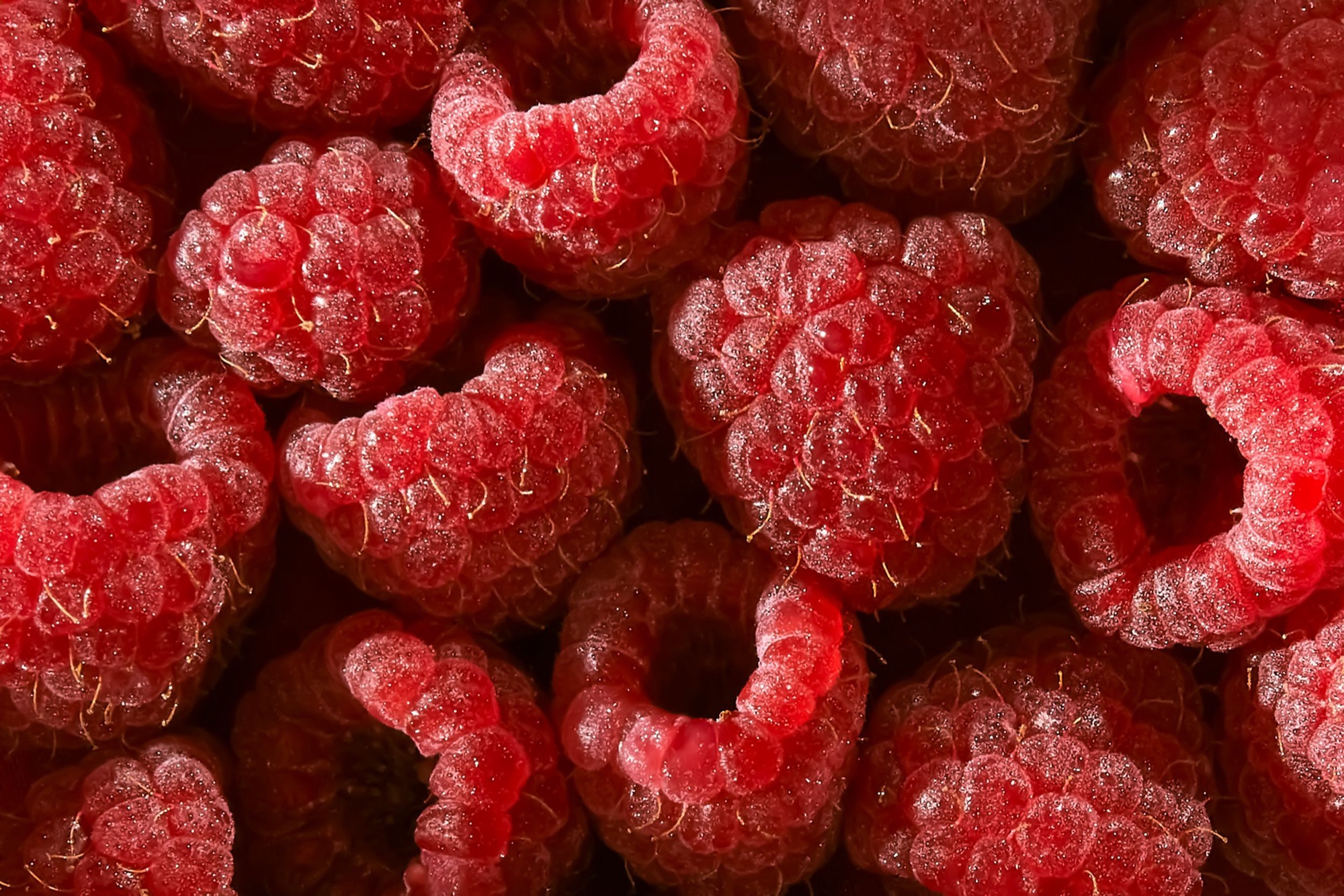 Raspberries close up