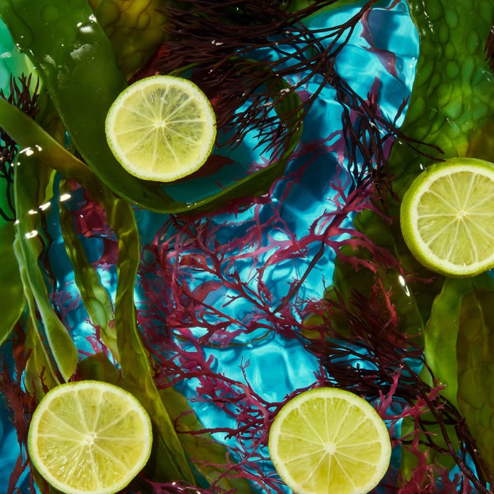 Cornish Soapcakes - Styled Shots - photography by Peaches Media