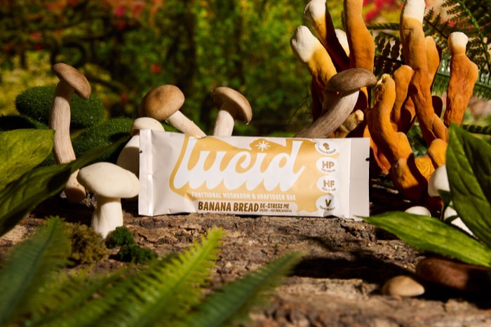 Lucid - More - photography by Peaches Media