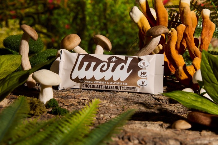 Lucid - More - photography by Peaches Media